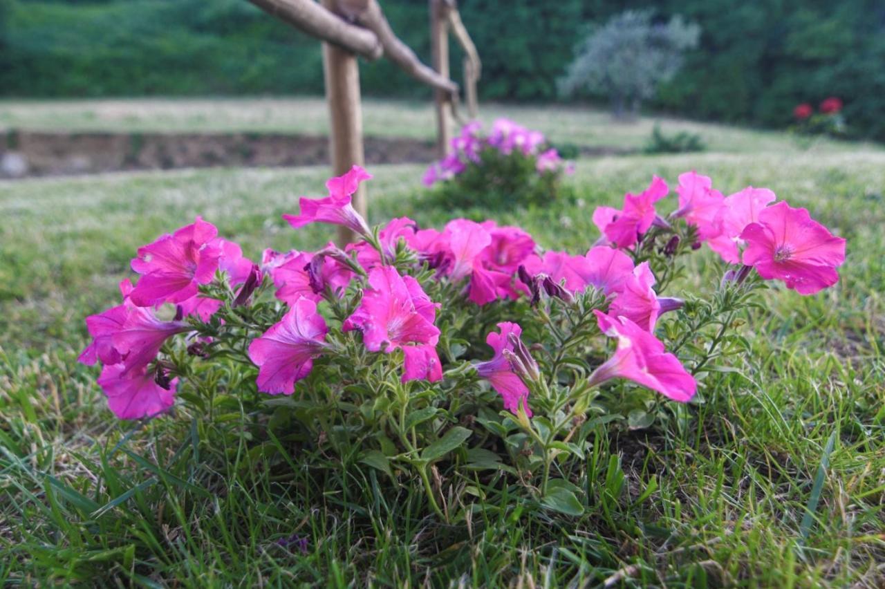 Agriturismo Poggio Ridulfo Volterra Bagian luar foto